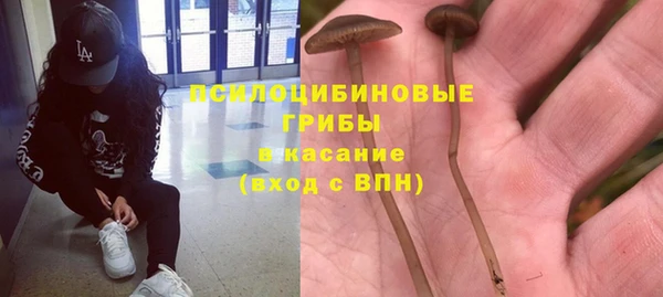 дмт Липки