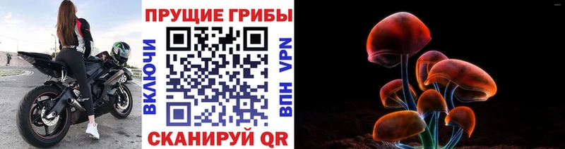 Галлюциногенные грибы MAGIC MUSHROOMS  где найти наркотики  Нефтекумск 