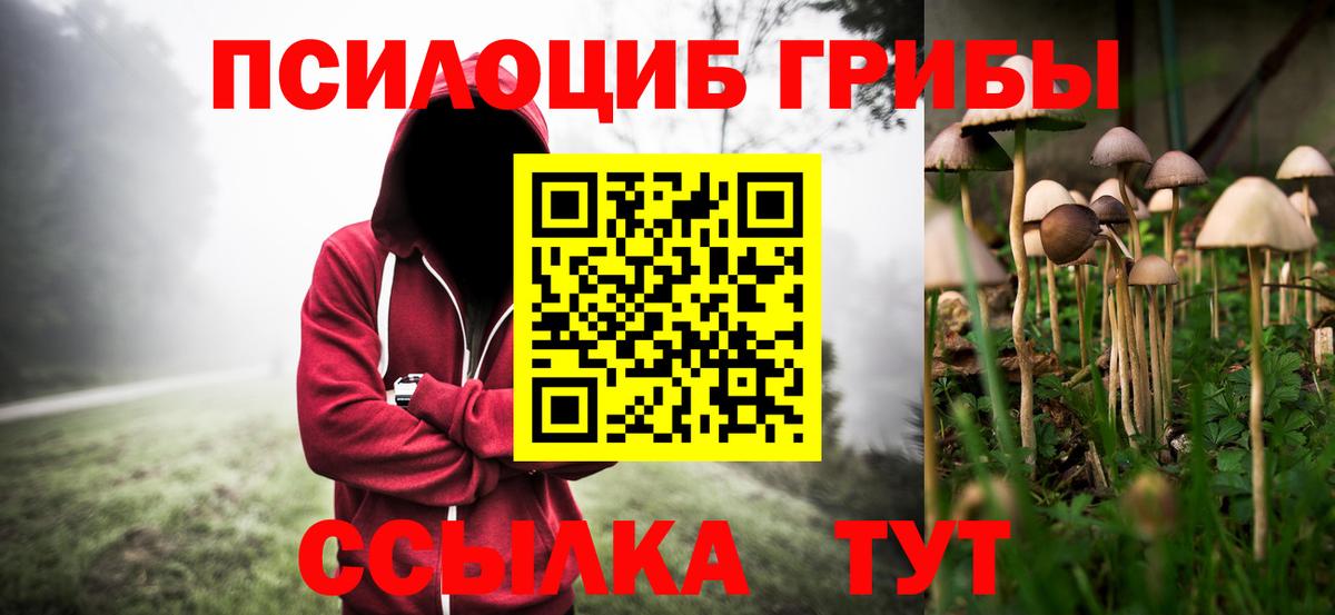 Нефтекумск  дарнет шоп  Вход с VPN  Галлюциногенные грибы Psilocybine cubensis 