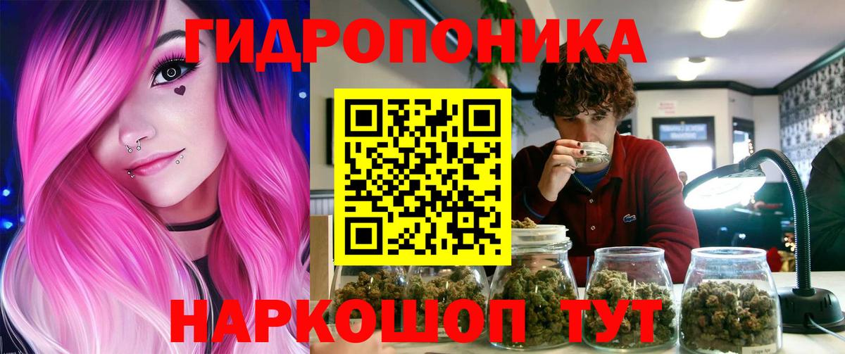 Нефтекумск  Бошки марихуана тримм  Конопля семена  Вход с VPN  МАРИХУАНА White Widow  Бошки Шишки индика 